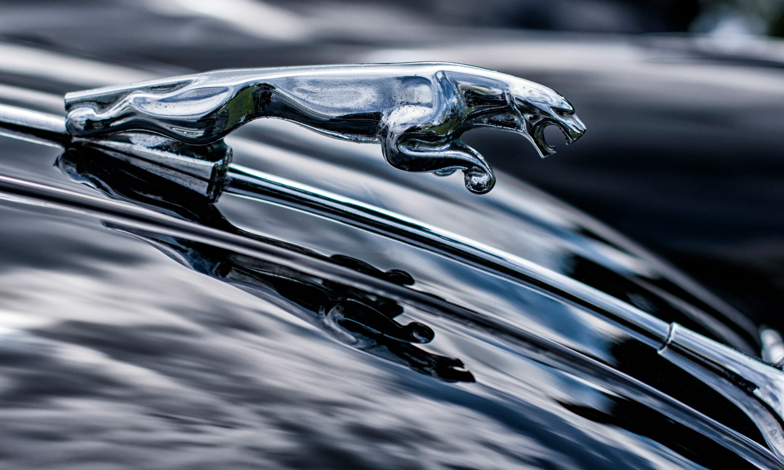 lease-en-jaguar-SCL
